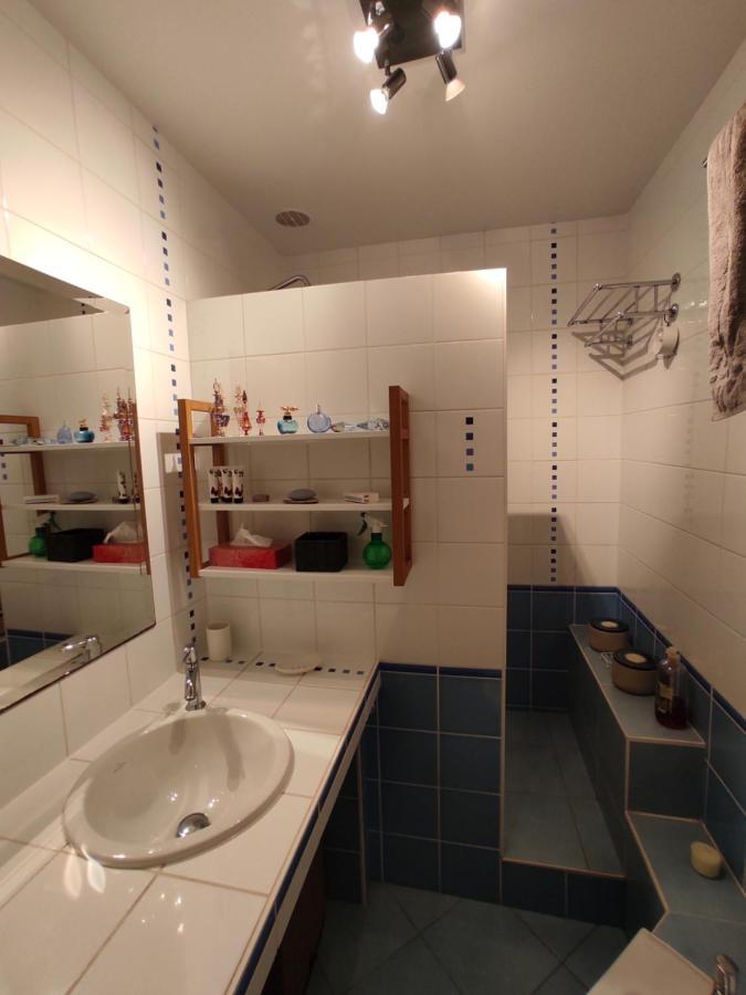 Saint-Jean  Appartement Calme Proche Toulouse المظهر الخارجي الصورة